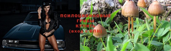 скорость Алексеевка
