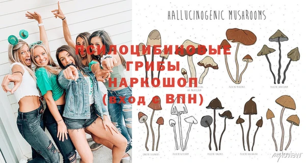 круглые Горно-Алтайск